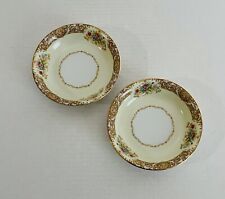 Noritake china fruit for sale  Hopkins