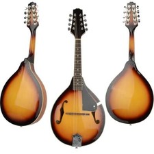 New style mandolin for sale  Flanders