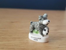 Fève schnauzer nain d'occasion  Nogent