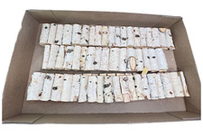 Strings birch wood for sale  Madison