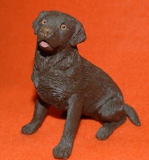 Sandicast chocolate lab for sale  Neptune