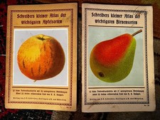 Schreibers kleiner atlas gebraucht kaufen  Salzwedel