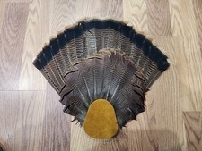 Bx47 turkey tail for sale  Hill City