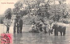 Cpa inde ceylon d'occasion  Claira