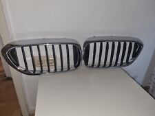 Riginal bmw nieren gebraucht kaufen  Kirchheim