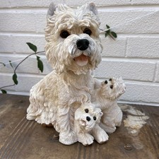 Westie west highland for sale  BIRMINGHAM
