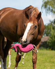 Qhp horse toy for sale  UK