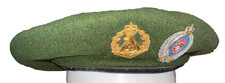 Vietnam war royal for sale  Bethesda