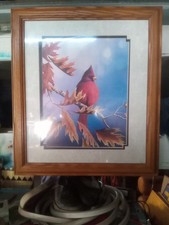 Cardinal jim hansel for sale  Wahpeton