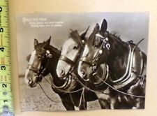 Vintage horse art for sale  Minneapolis