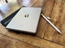 Apple ipad sesta usato  Crespellano