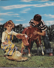 Boy girl cow for sale  Newark