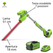 Tosasiepi tagliasiepi greenwor usato  Camaiore