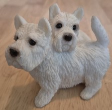 Westie west highland for sale  MIDHURST