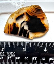 Montana agate slab for sale  Sonoma