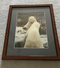 Professionally framed matted for sale  Killingworth