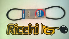 Cinghia alternatore fiat usato  Putignano