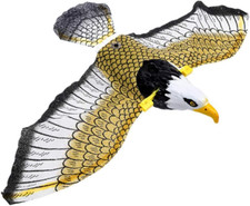 Falco gigante come usato  Roma