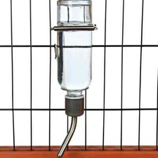 Biberon verre rongeur d'occasion  Lys-lez-Lannoy