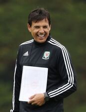Adidas wales euro for sale  BARRY
