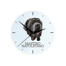 Mastino napoletano orologio usato  Spedire a Italy