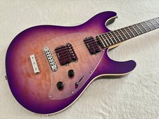 Ernie ball music gebraucht kaufen  Brome