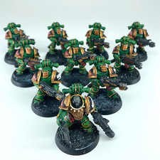 Esquadrão de Apoio Tático - Salamandras - Pintado - Warhammer Horus Heresy GW C5999 comprar usado  Enviando para Brazil