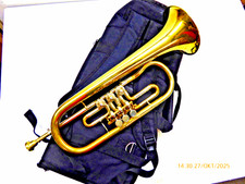 Flügelhorn konzert trompete gebraucht kaufen Flügelhorn konzert trompete gebraucht kaufen  Holzminden
