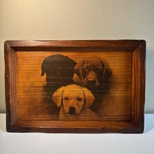 Vintage labrador retriever for sale  Cedar Rapids