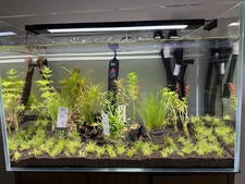 Juwel aquarium fish for sale  READING