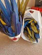 blue gold macaw for sale blue gold macaw for sale BASILDON