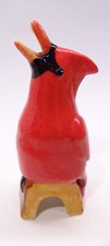 Australia pie bird for sale  Santa Clara