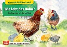Lebt huhn kamishibai gebraucht kaufen  Berlin