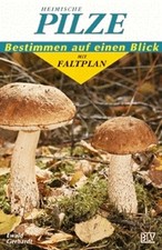 Heimische pilze gebraucht kaufen  Berlin