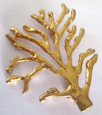 Grande broche thuya d'occasion  Perros-Guirec