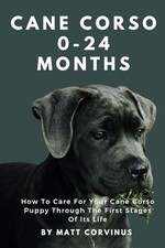Cane corso months for sale  Feasterville Trevose