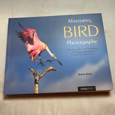 Mastering bird photography for sale  Newberg
