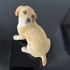 Dog golden labrador for sale  RINGWOOD