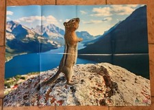 Medizini poster goldmantel gebraucht kaufen  Husum