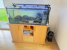 Meerwasseraquarium 4x0 6m gebraucht kaufen  Bärenbach, Kappel, Schlierschied