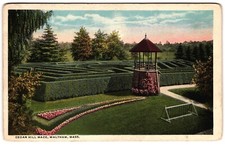Cedar hill maze for sale  North Attleboro