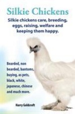Silkie chickens. silkie for sale  Mishawaka