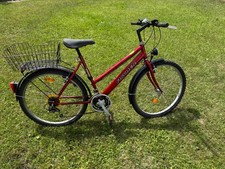 Fahrrad zoll mädchen gebraucht kaufen  Groß-Gerau