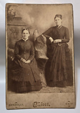 1890s women dresses for sale  Massillon