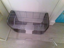 Large small animal for sale  HARPENDEN