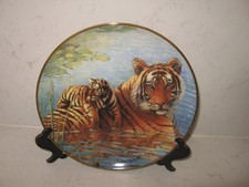 Tiger wild cat for sale  WELLINGBOROUGH