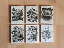 Stempelkunst motiv stempel gebraucht kaufen  Kalefeld