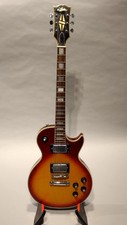Aria guitar bag for sale  Balch Springs