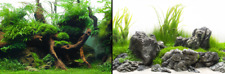 Poster fond aquarium d'occasion  Krautergersheim