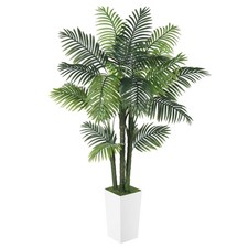 Artificial palm tree for sale  Brentwood